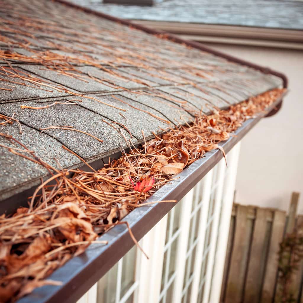 How to Fix Blocked Gutters